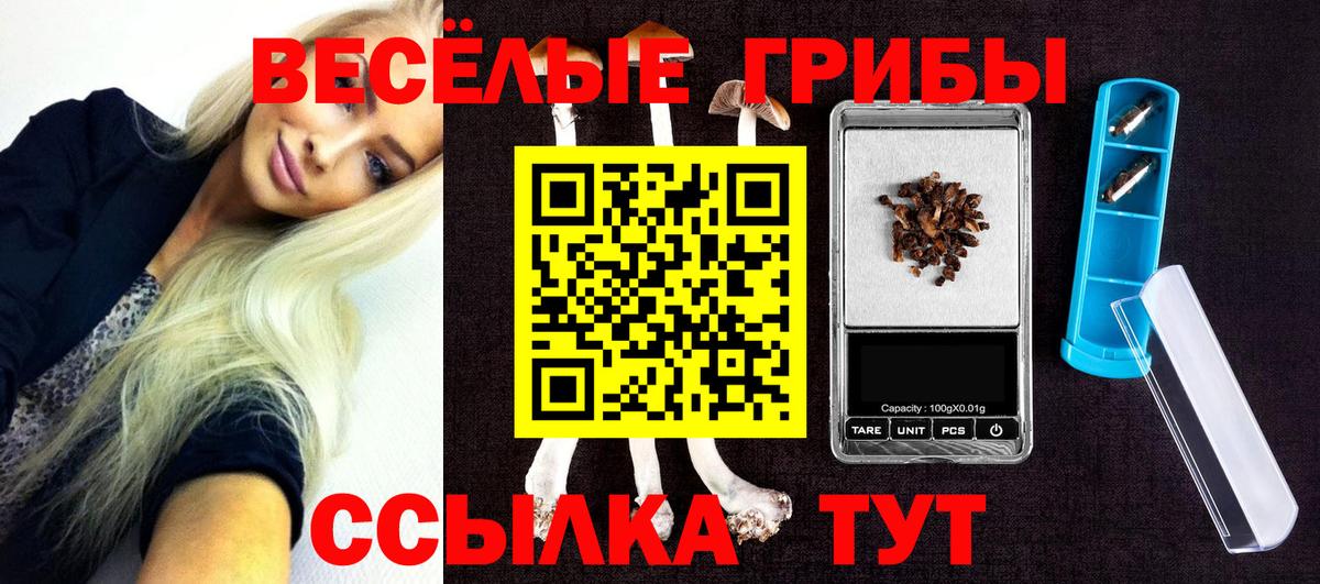 Галлюциногенные грибы MAGIC MUSHROOMS Кандалакша