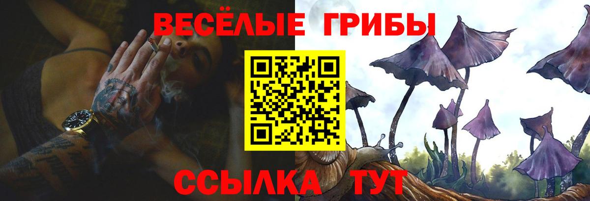 Кандалакша  Галлюциногенные грибы мухоморы  Вход с VPN 